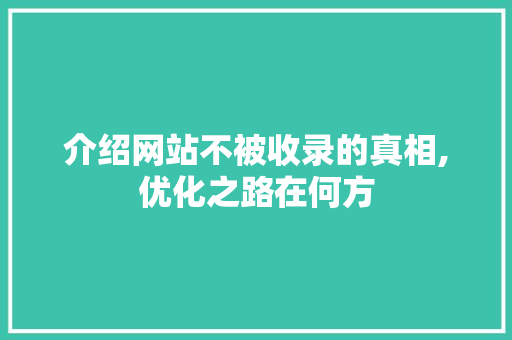介绍网站不被收录的真相,优化之路在何方