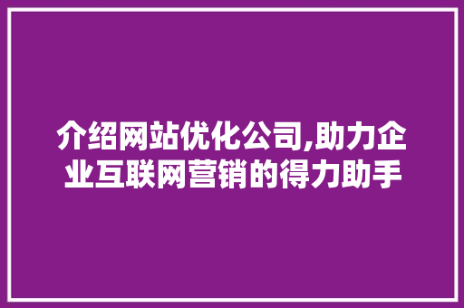 介绍网站优化公司,助力企业互联网营销的得力助手