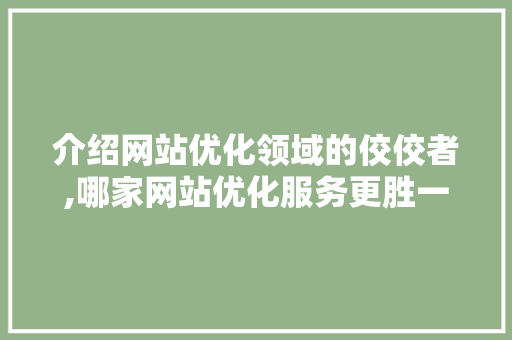 介绍网站优化领域的佼佼者,哪家网站优化服务更胜一筹 介绍网站优化领域的佼佼者,哪家网站优化服务更胜一筹 神马SEO
