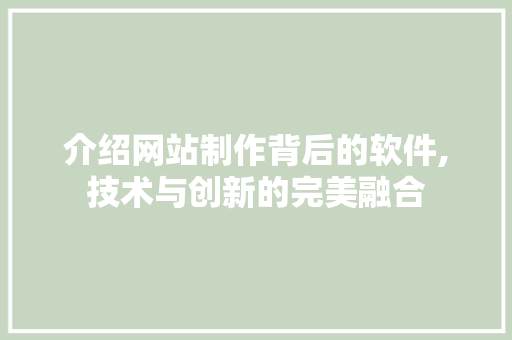 介绍网站制作背后的软件,技术与创新的完美融合