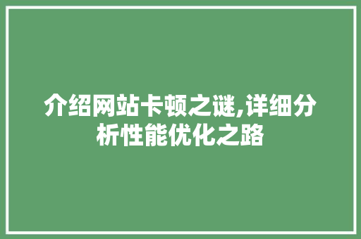 介绍网站卡顿之谜,详细分析性能优化之路