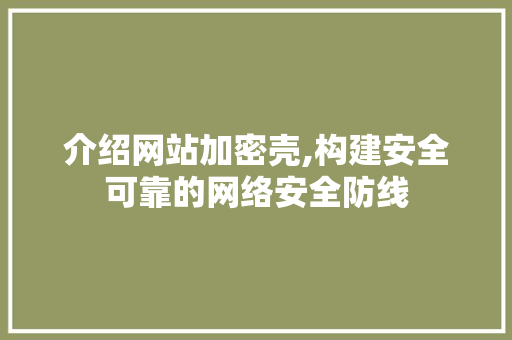 介绍网站加密壳,构建安全可靠的网络安全防线
