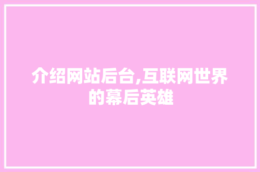 介绍网站后台,互联网世界的幕后英雄