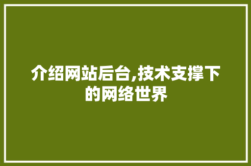 介绍网站后台,技术支撑下的网络世界