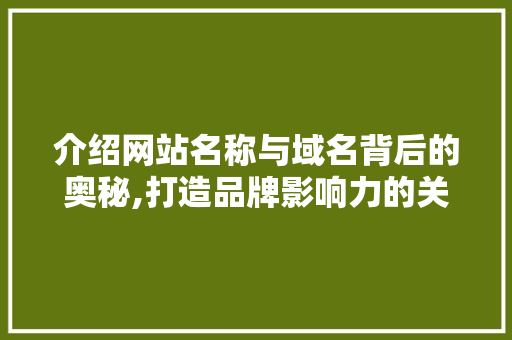 介绍网站名称与域名背后的奥秘,打造品牌影响力的关键要素