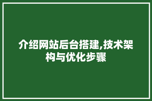 介绍网站后台搭建,技术架构与优化步骤