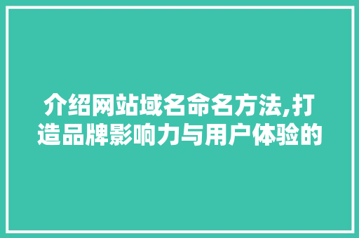 介绍网站域名命名方法,打造品牌影响力与用户体验的双重胜利