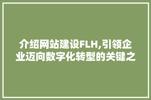 介绍网站建设FLH,引领企业迈向数字化转型的关键之路