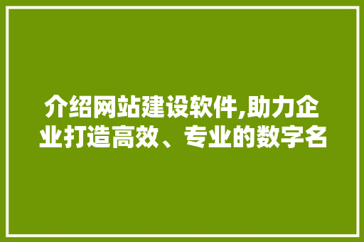 介绍网站建设软件,助力企业打造高效、专业的数字名片