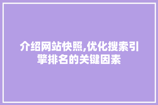 介绍网站快照,优化搜索引擎排名的关键因素