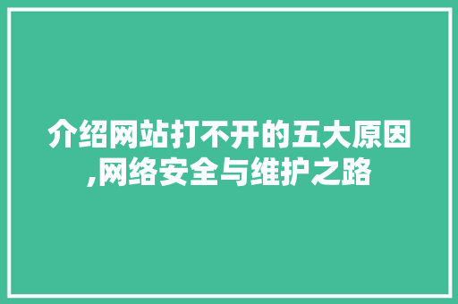 介绍网站打不开的五大原因,网络安全与维护之路
