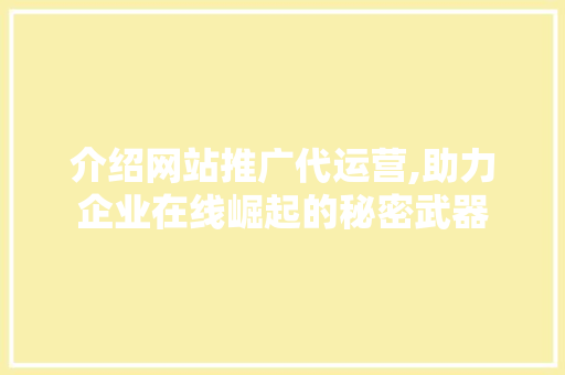 介绍网站推广代运营,助力企业在线崛起的秘密武器
