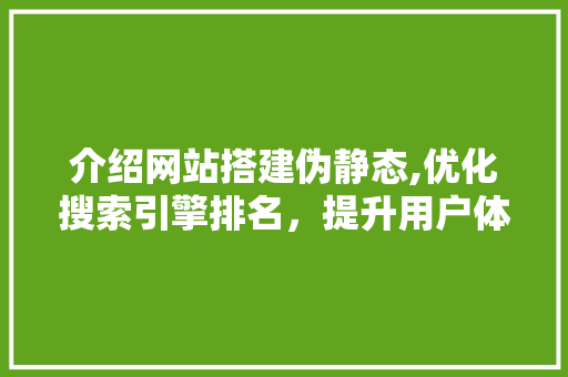 介绍网站搭建伪静态,优化搜索引擎排名，提升用户体验