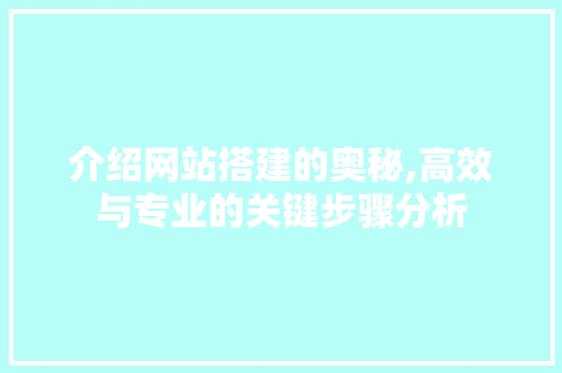 介绍网站搭建的奥秘,高效与专业的关键步骤分析