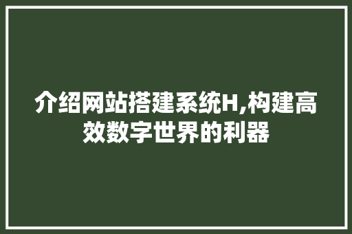 介绍网站搭建系统H,构建高效数字世界的利器
