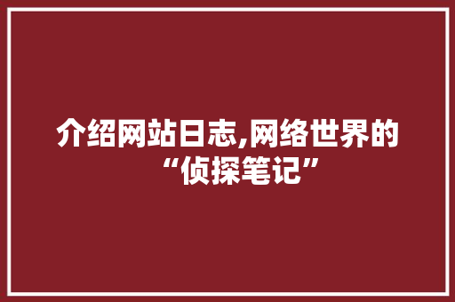 介绍网站日志,网络世界的“侦探笔记”