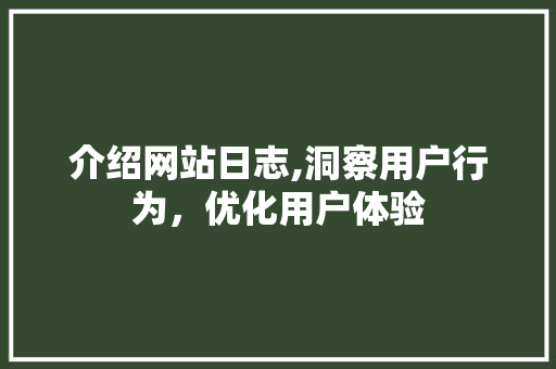 介绍网站日志,洞察用户行为，优化用户体验