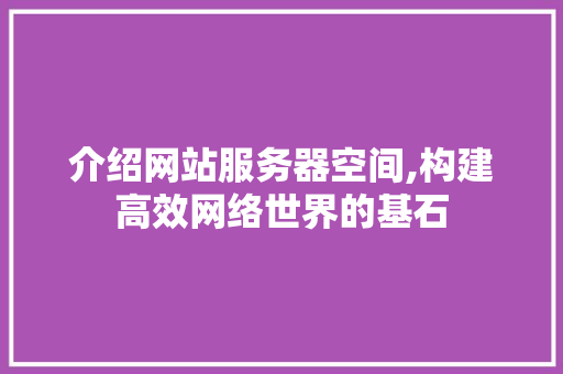 介绍网站服务器空间,构建高效网络世界的基石