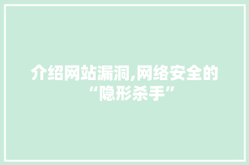 介绍网站漏洞,网络安全的“隐形杀手”