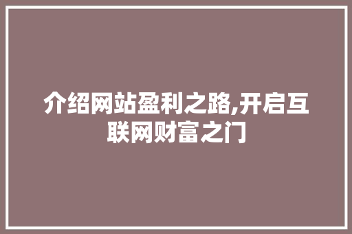 介绍网站盈利之路,开启互联网财富之门