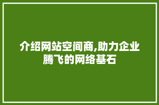 介绍网站空间商,助力企业腾飞的网络基石