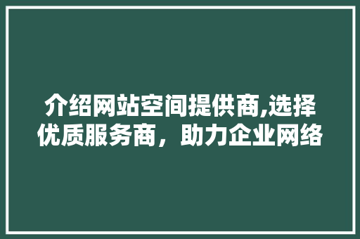 介绍网站空间提供商,选择优质服务商，助力企业网络腾飞 介绍网站空间提供商,选择优质服务商，助力企业网络腾飞 网站建设公司