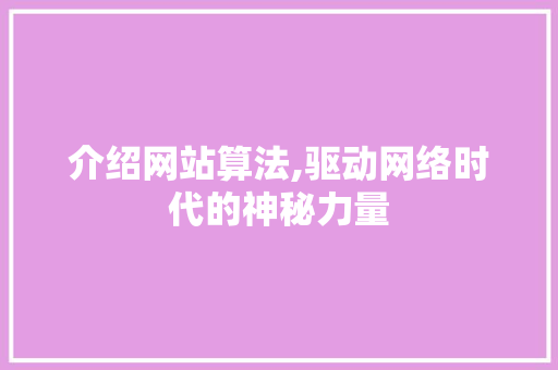 介绍网站算法,驱动网络时代的神秘力量