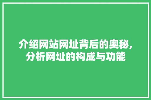 介绍网站网址背后的奥秘,分析网址的构成与功能
