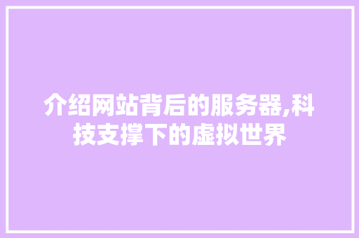 介绍网站背后的服务器,科技支撑下的虚拟世界