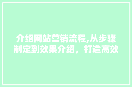 介绍网站营销流程,从步骤制定到效果介绍，打造高效营销方法