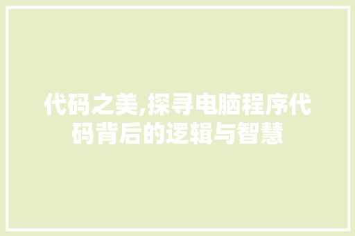 代码之美,探寻电脑程序代码背后的逻辑与智慧