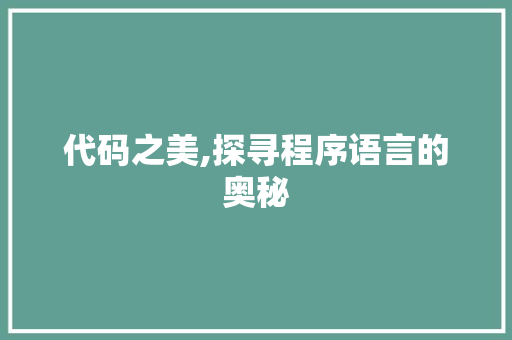 代码之美,探寻程序语言的奥秘