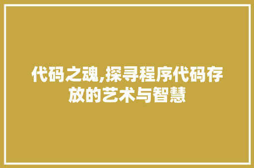 代码之魂,探寻程序代码存放的艺术与智慧