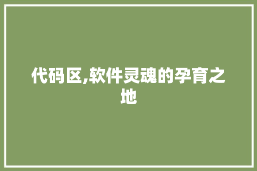 代码区,软件灵魂的孕育之地