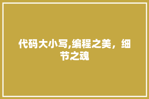 代码大小写,编程之美，细节之魂