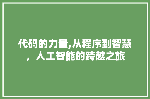 代码的力量,从程序到智慧，人工智能的跨越之旅