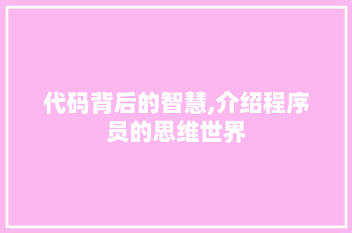 代码背后的智慧,介绍程序员的思维世界