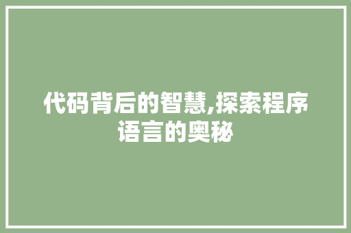 代码背后的智慧,探索程序语言的奥秘