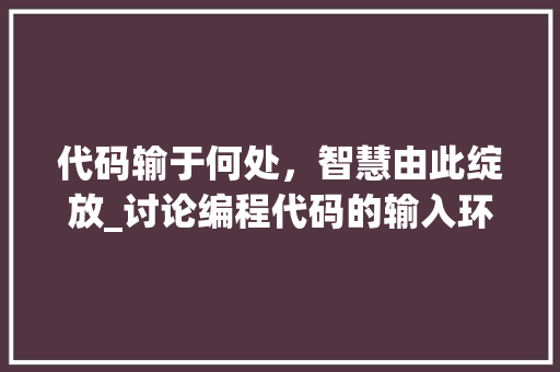 代码输于何处，智慧由此绽放_讨论编程代码的输入环境