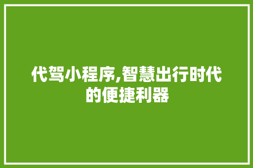 代驾小程序,智慧出行时代的便捷利器
