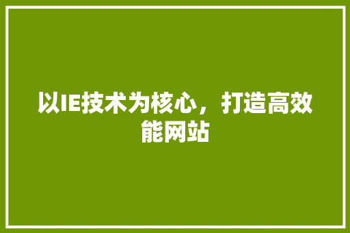 以IE技术为核心，打造高效能网站