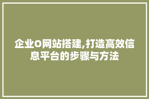 企业O网站搭建,打造高效信息平台的步骤与方法