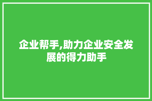 企业帮手,助力企业安全发展的得力助手