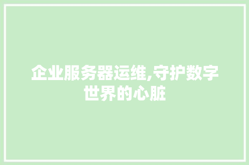 企业服务器运维,守护数字世界的心脏