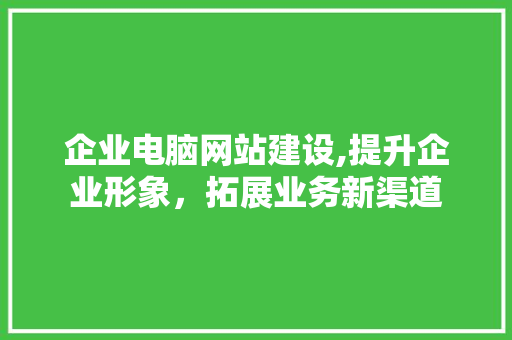 企业电脑网站建设,提升企业形象，拓展业务新渠道 企业电脑网站建设,提升企业形象，拓展业务新渠道 百度SEO