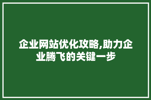 企业网站优化攻略,助力企业腾飞的关键一步 企业网站优化攻略,助力企业腾飞的关键一步 百度SEO