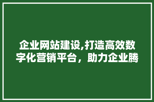 企业网站建设,打造高效数字化营销平台，助力企业腾飞