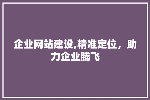 企业网站建设,精准定位，助力企业腾飞