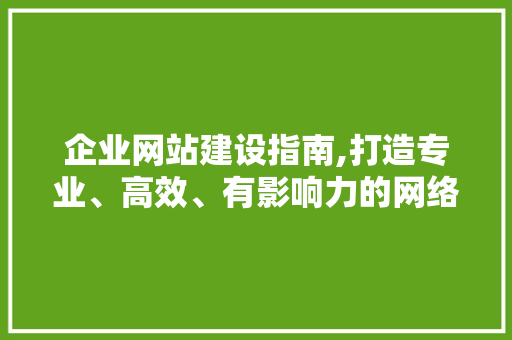 企业网站建设指南,打造专业、高效、有影响力的网络平台