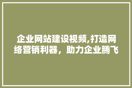 企业网站建设视频,打造网络营销利器，助力企业腾飞